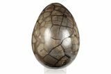 Polished Dragon Egg Geode ( lbs) - Removable Section #199996-1